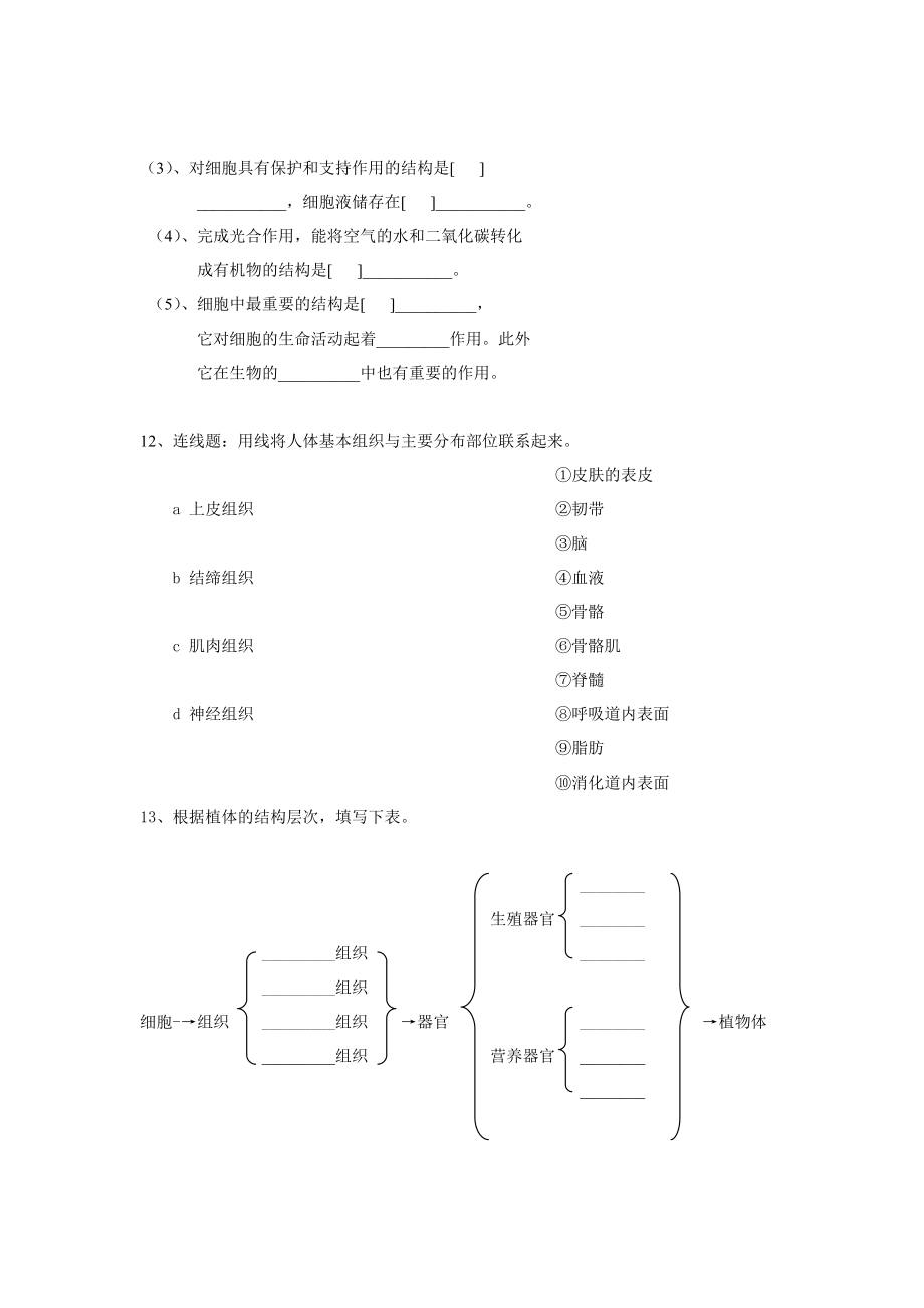 七年级生物学上册单元考1.doc_第2页