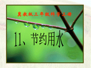 三年级上册11、《节约用水》课件[1].ppt