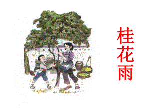 小学五年级语文《桂花雨》课件.ppt