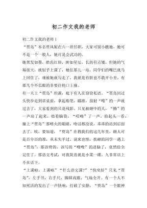 初二作文我的老师范本.docx