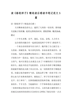 读《骆驼祥子》精选读后感读书笔记范文5篇精编.docx