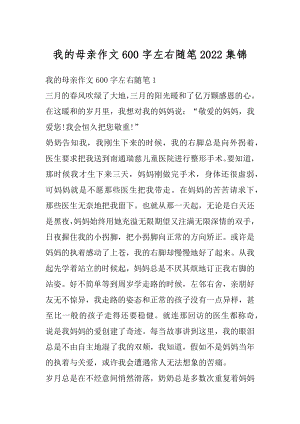 我的母亲作文600字左右随笔2022集锦汇编.docx