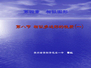 初中二年级数学下册第四章相似图形48相似多边形的周长比和面积比第一课时课件.ppt