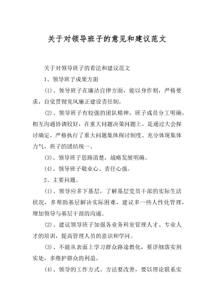 关于对领导班子的意见和建议范文精编.docx