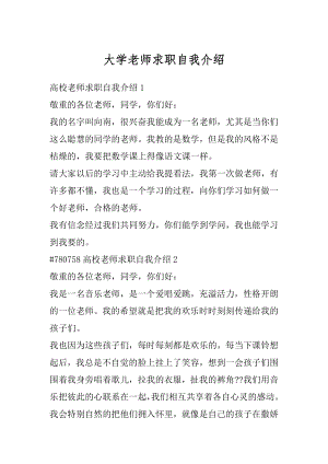 大学老师求职自我介绍例文.docx