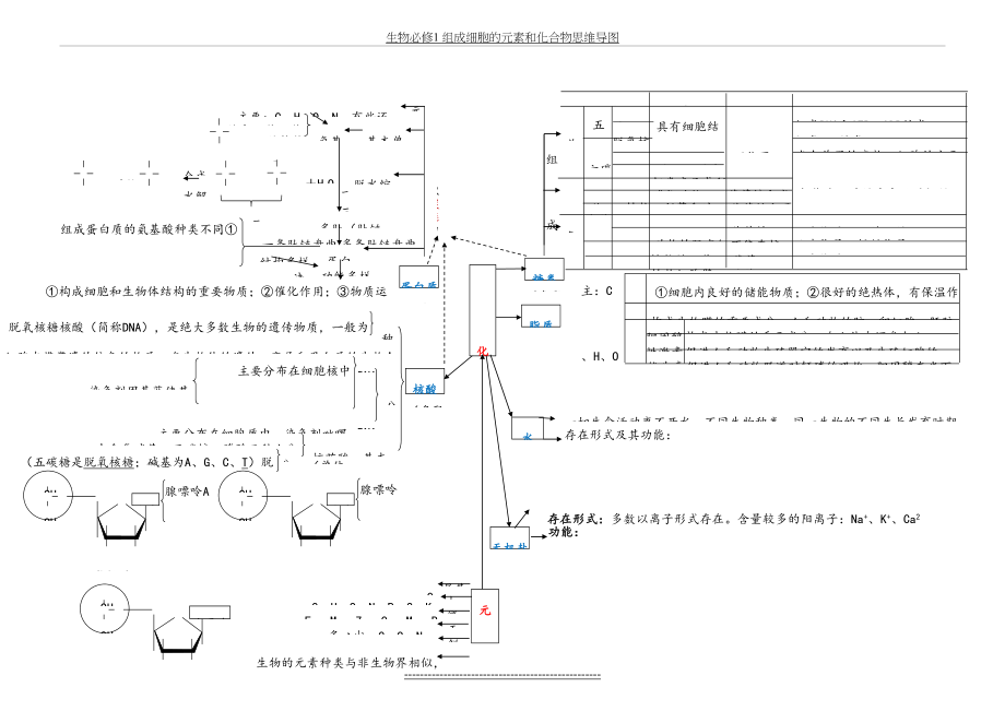 生物必修1 组成细胞的元素和化合物思维导图.doc_第2页