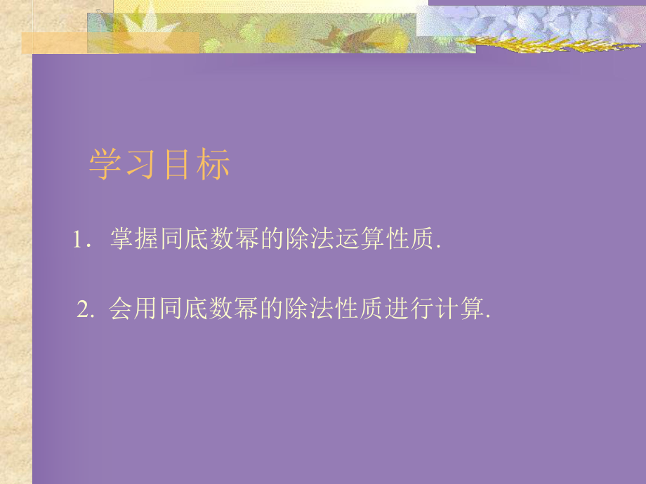 同底数幂的除法课件1.ppt_第2页