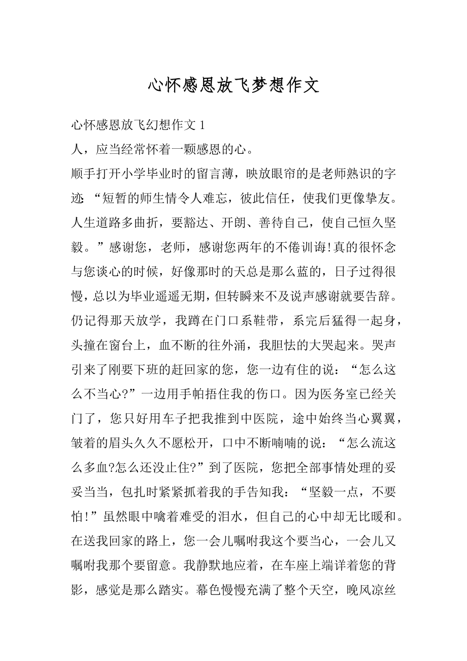 心怀感恩放飞梦想作文例文.docx_第1页