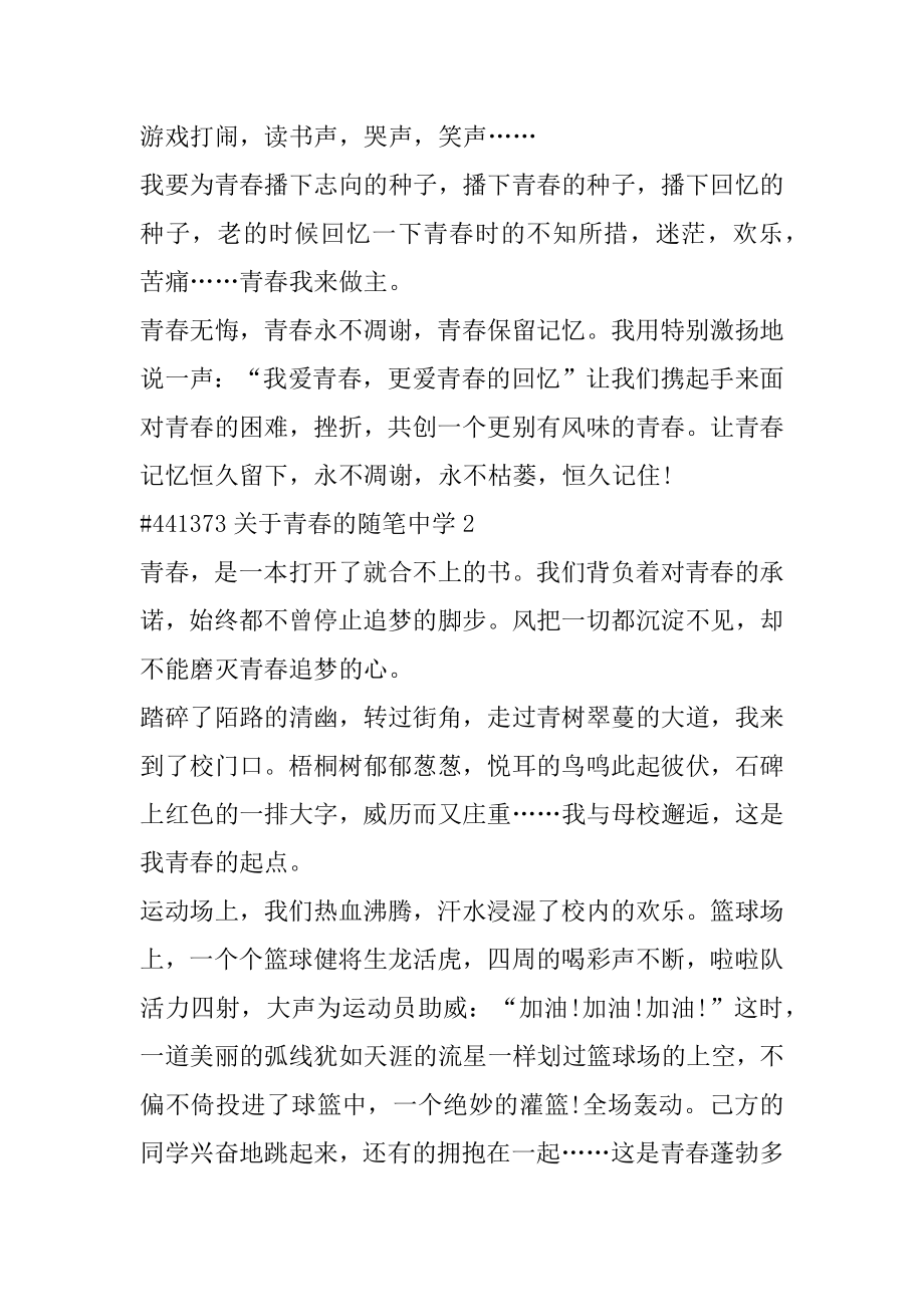 关于青春的随笔高中范例.docx_第2页