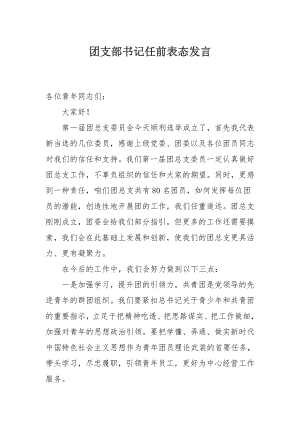 团支部书记任前表态发言.docx