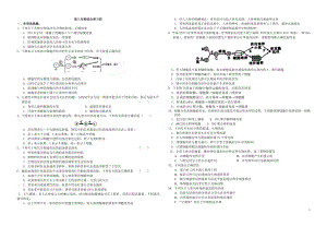 高三生物综合复习4.doc