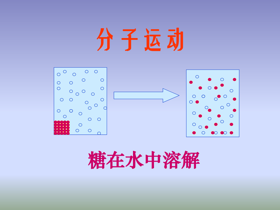 细胞的生活PPT.ppt_第2页