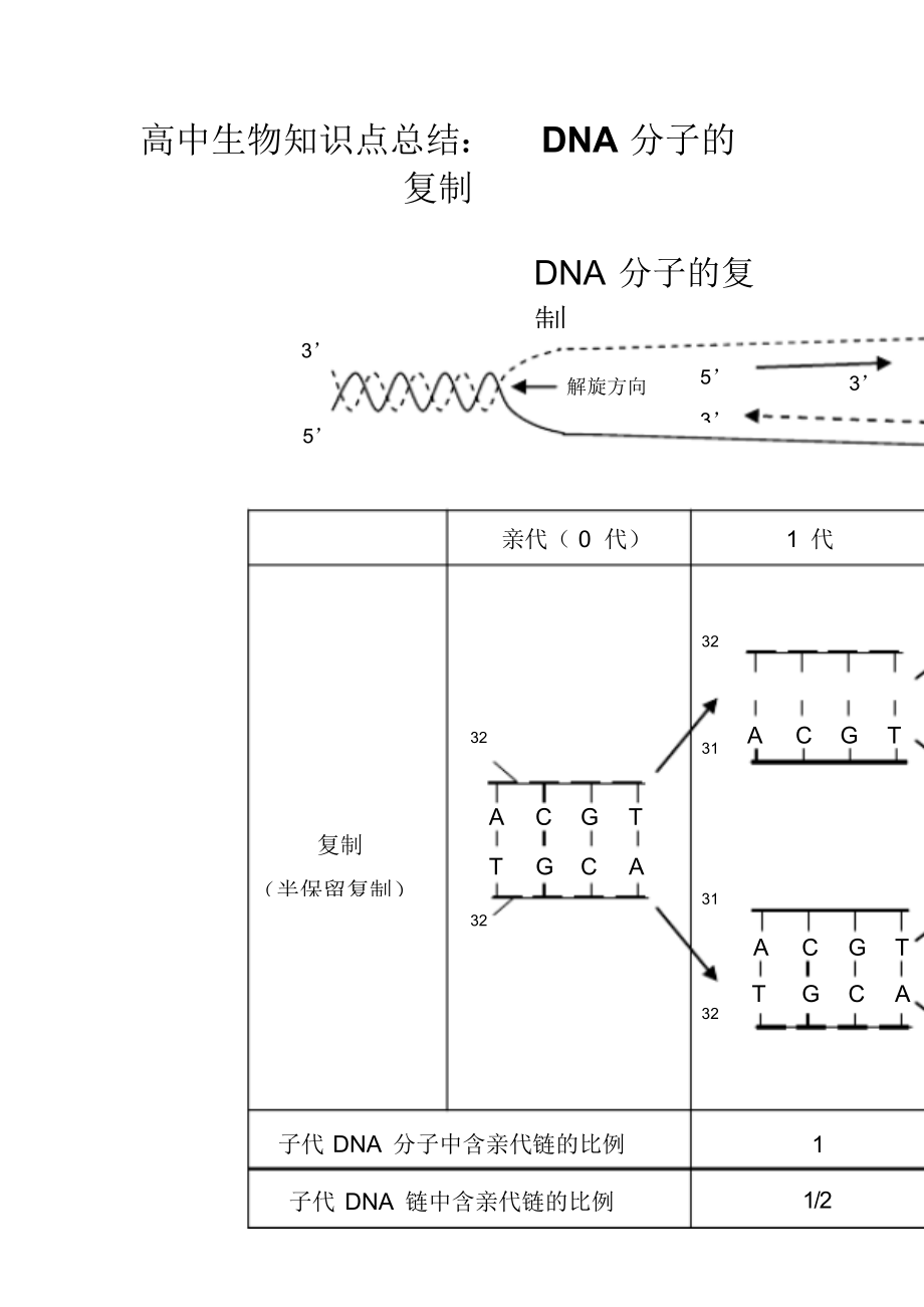 高中生物知识点总结：DNA分子的复制.doc_第2页