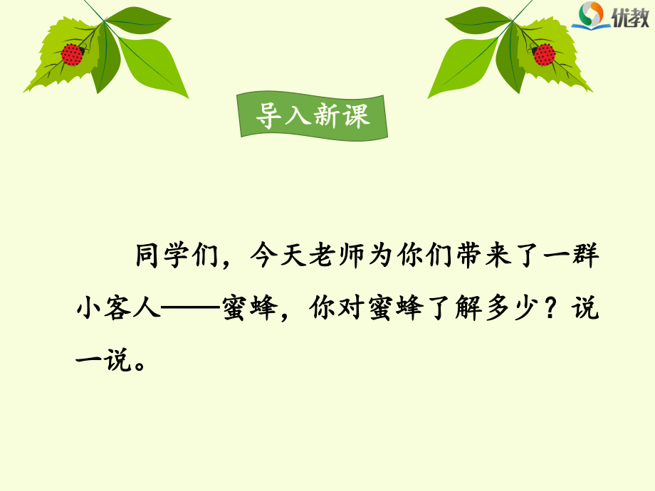 《蜜蜂》课件（第一课时）.ppt_第1页