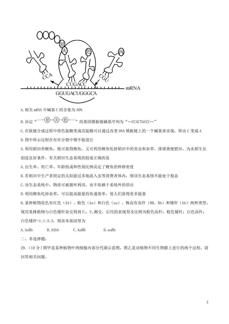 河北省衡水中学高三高考押题（二）生物试题.doc_第2页