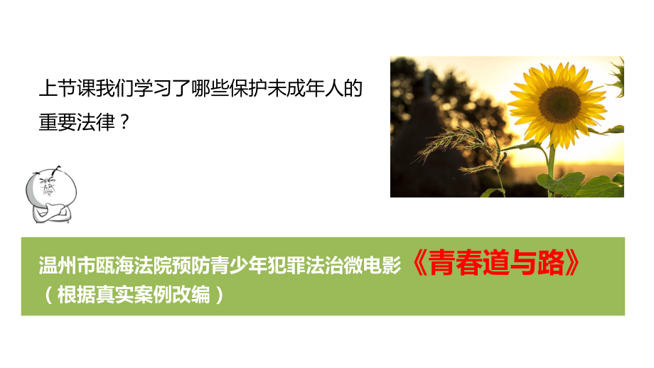 813保护未成年人是全社会的责任(缪).ppt_第2页