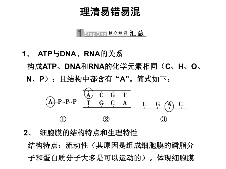 理清易错易混知识点.ppt_第1页