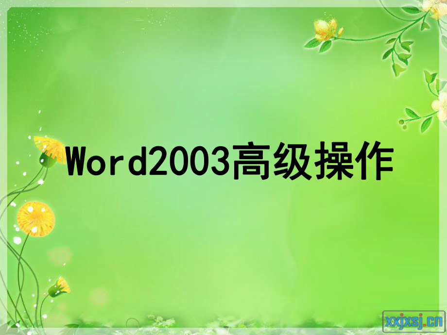 Word2003操作课(二).ppt_第1页