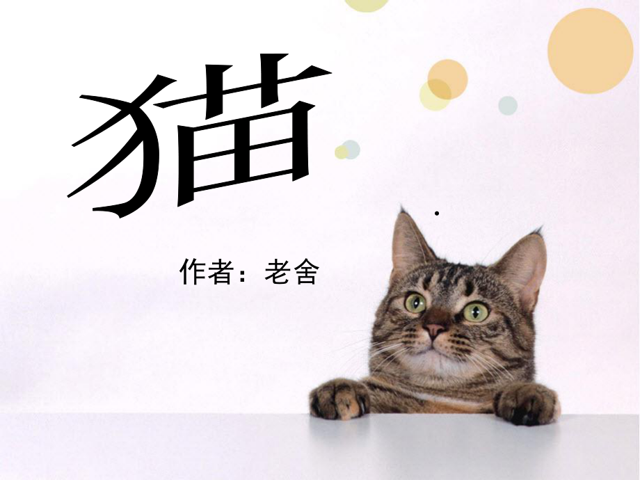 人教版四年级语文上册《猫》PPT课件 (2).pptx_第1页