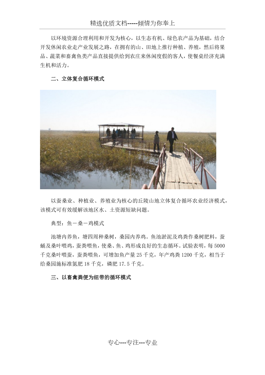 生态循环农业的主要发展模式及特点.docx_第2页