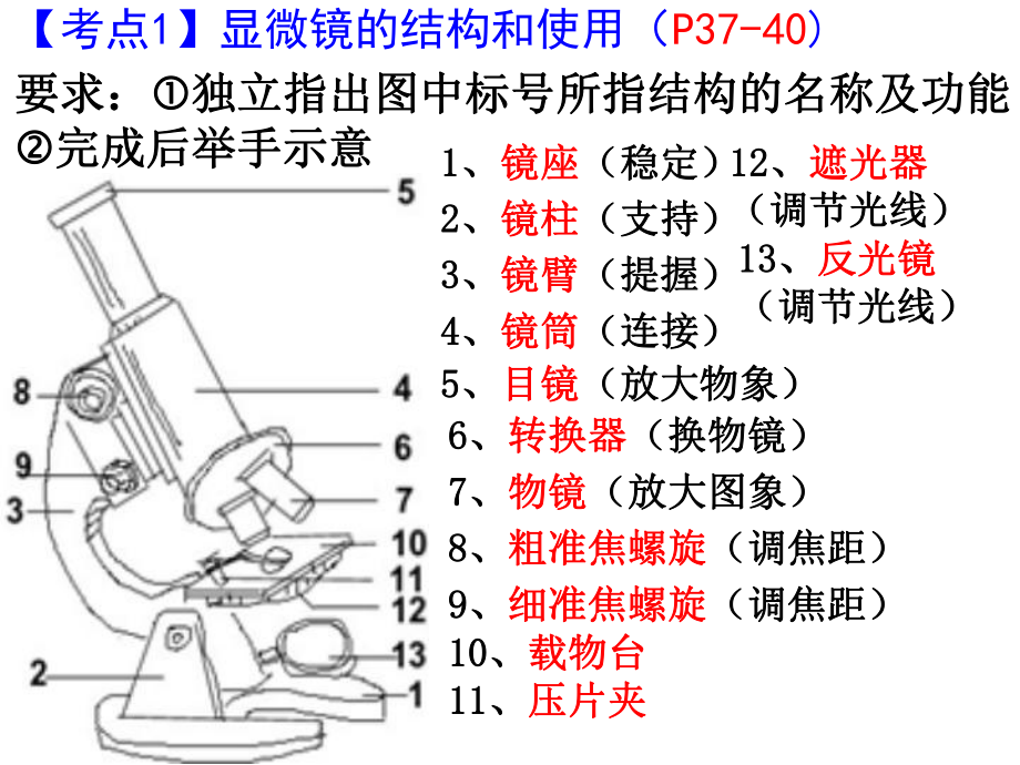 生物体的结构层次复习.ppt_第2页