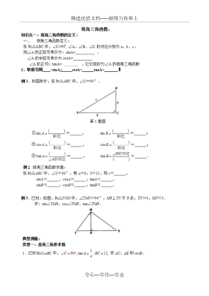 锐角三角函数题型分类总结.docx