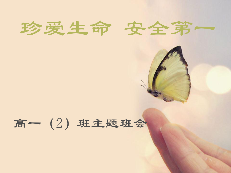 珍爱生命安全主题班会.ppt_第1页