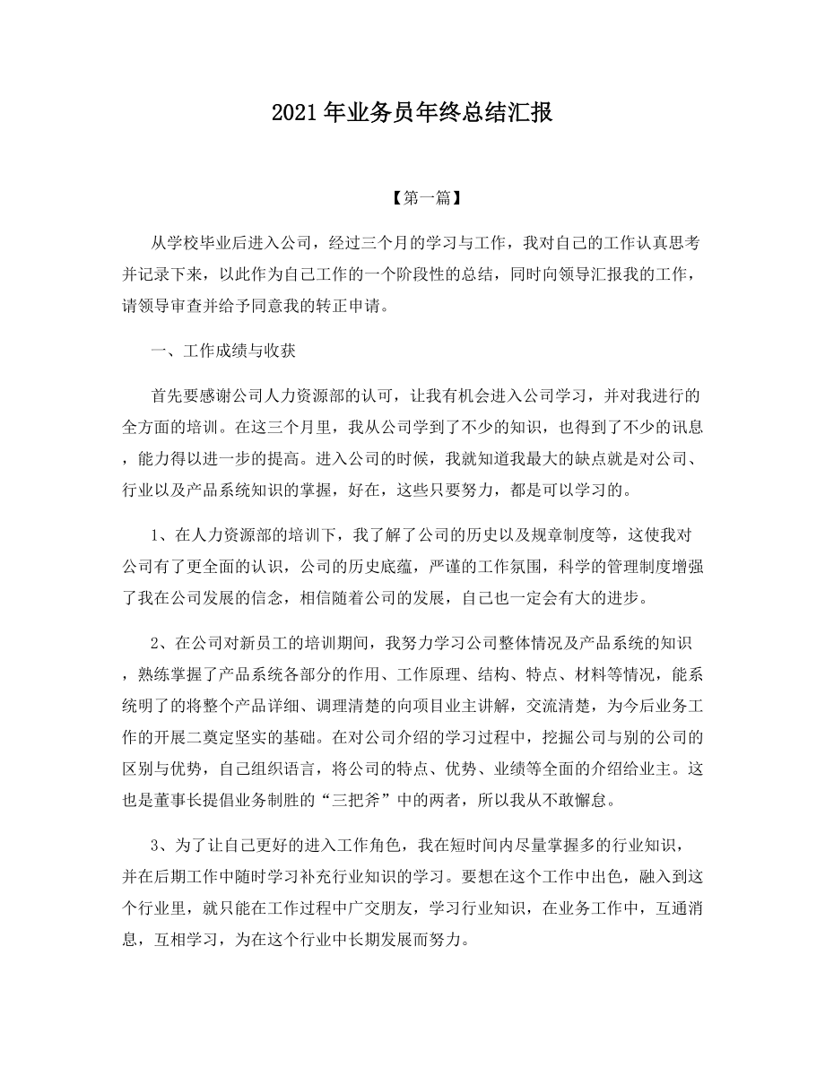 2021年业务员年终总结汇报.docx_第1页