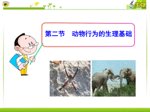 第二节动物行为的生理基础.ppt