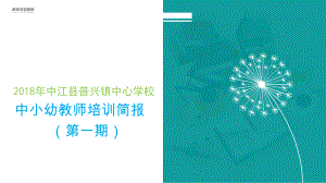 普兴镇中心学校教师培训简报PPT模板2.pptx