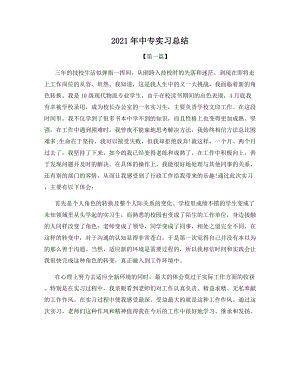 2021年中专实习总结.docx