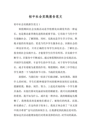 初中社会实践报告范文精选.docx