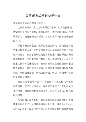 公司新员工培训心得体会例文.docx