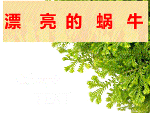 中班美术活动《漂亮的蜗牛》.ppt