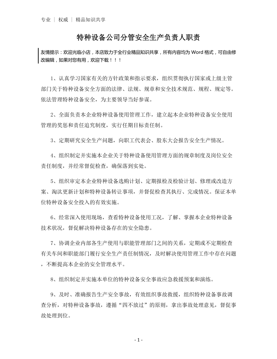 特种设备公司分管安全生产负责人职责.docx_第1页