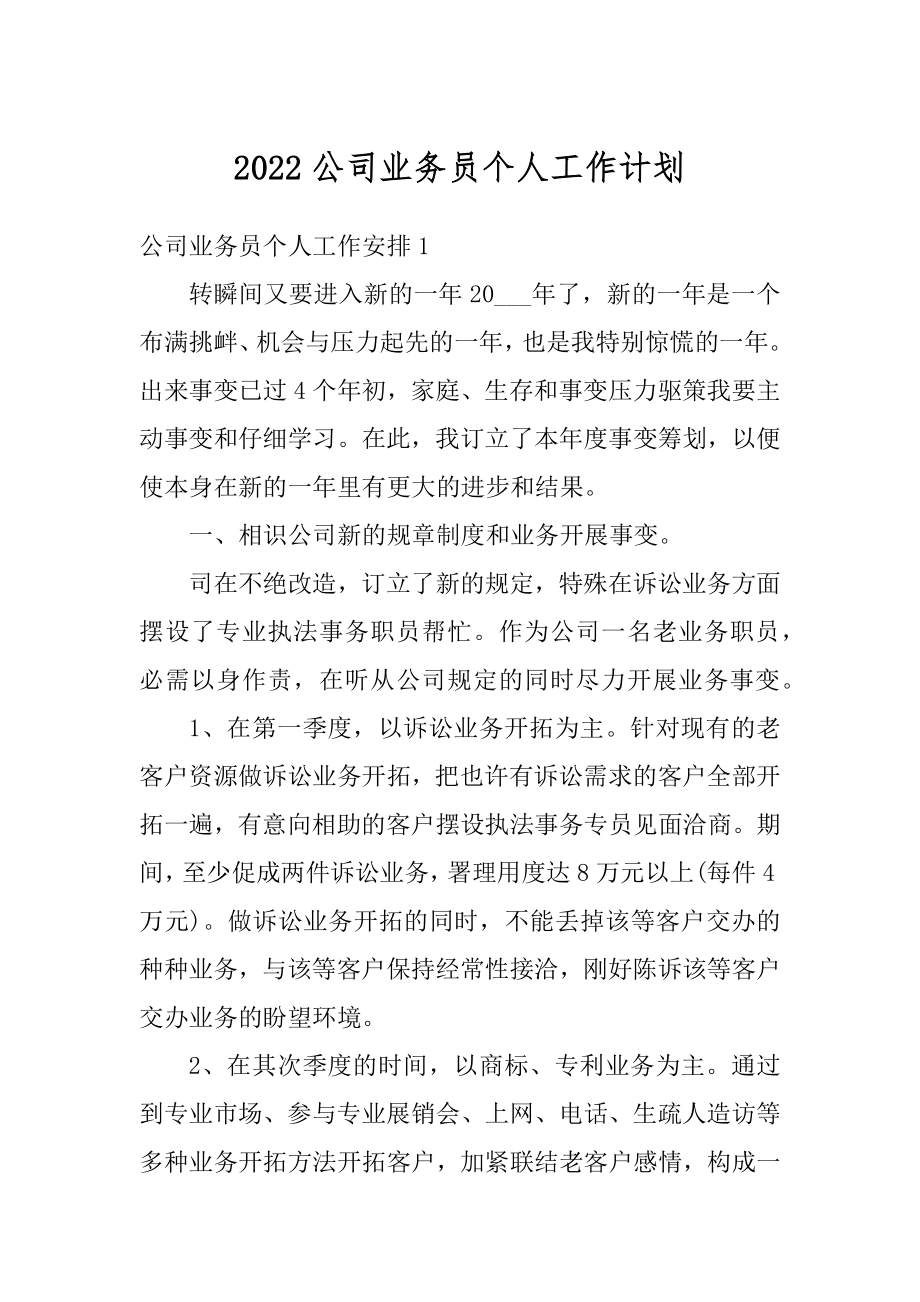 2022公司业务员个人工作计划汇编.docx_第1页