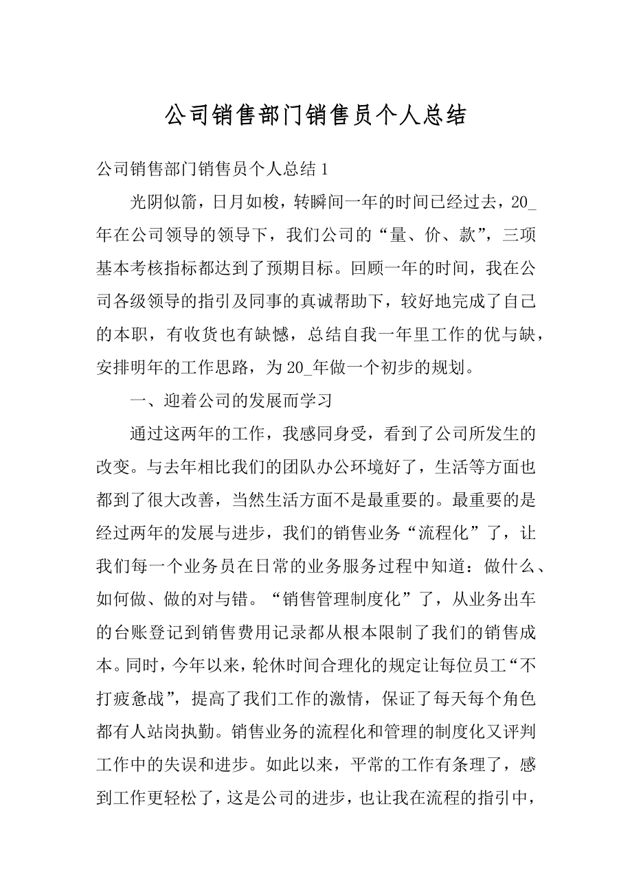 公司销售部门销售员个人总结范例.docx_第1页