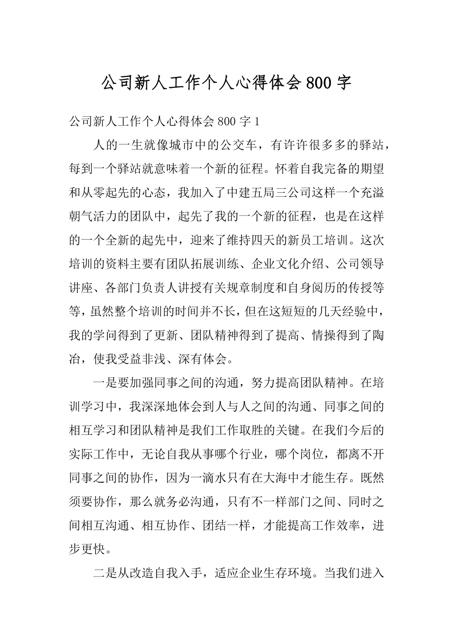 公司新人工作个人心得体会800字优质.docx_第1页