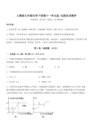 人教版九年级化学下册第十一单元盐-化肥定向测评试题(含答案解析).docx