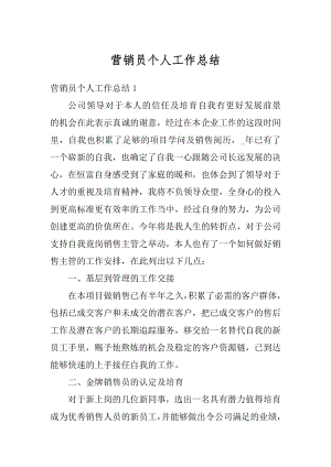 营销员个人工作总结优质.docx