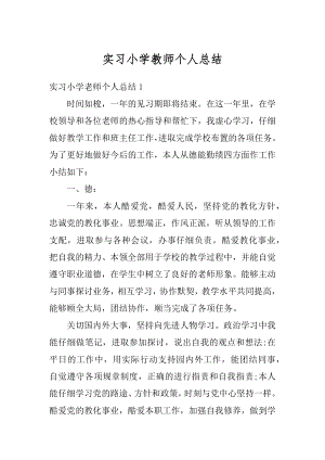 实习小学教师个人总结范文.docx