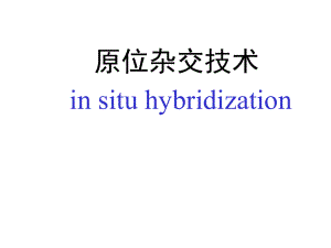 原位杂交技术原理及其应用ppt课件.ppt