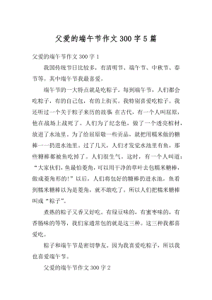 父爱的端午节作文300字5篇例文.docx