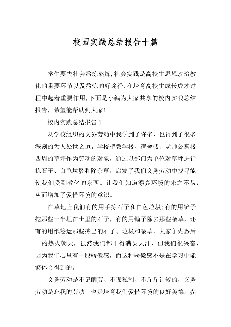 校园实践总结报告十篇范例.docx_第1页