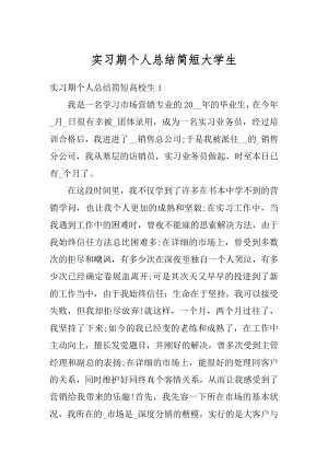 实习期个人总结简短大学生精选.docx