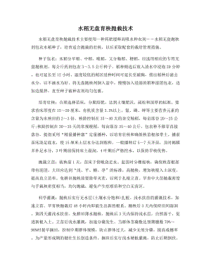 水稻无盘育秧抛栽技术.docx