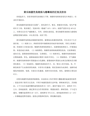 黄瓜细菌性角斑病与霜霉病的区别及防治.docx