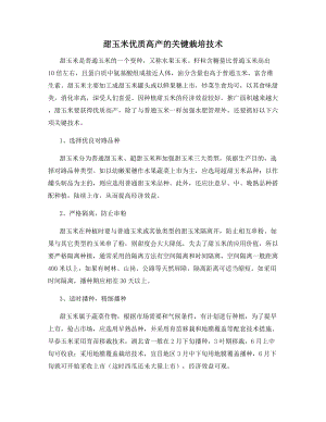 甜玉米优质高产的关键栽培技术.docx