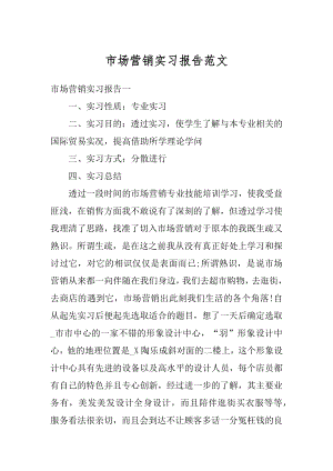 市场营销实习报告范文优质.docx