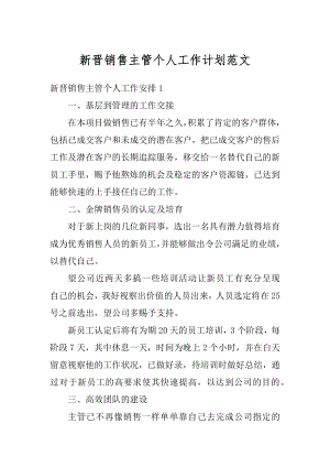 新晋销售主管个人工作计划范文优质.docx